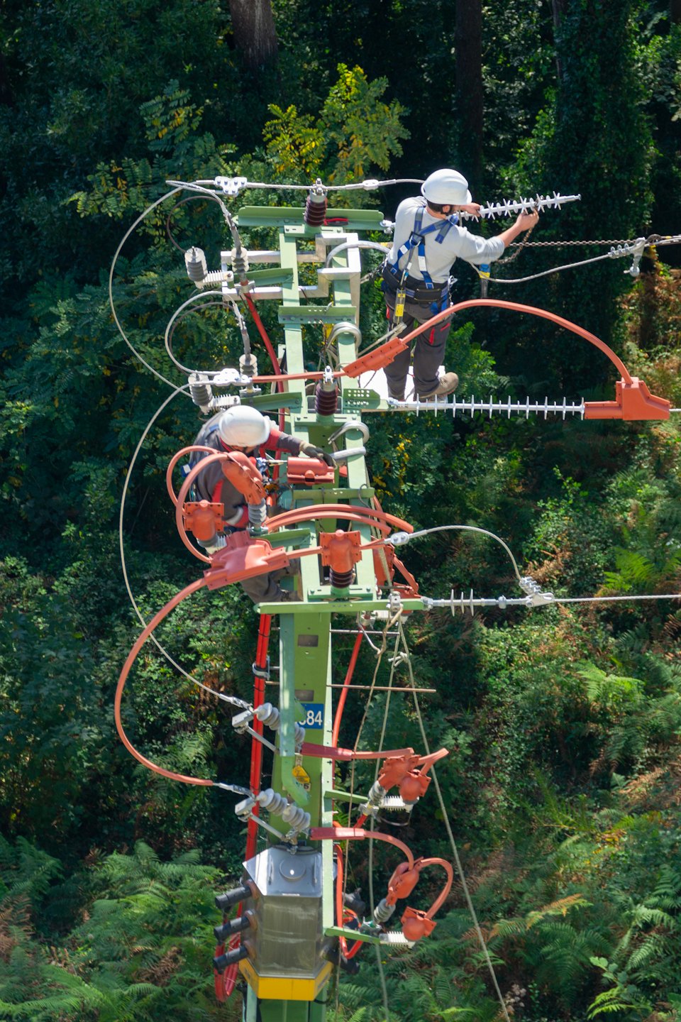 Workers in safety gear maintain power line pylon in forest.